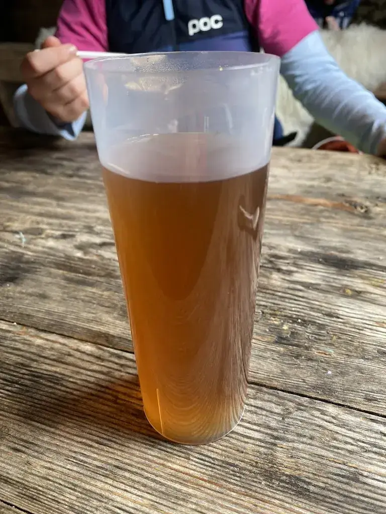 Regula Pürro Kunz_«Hütte» Kleine Scheidegg_Wengen_review