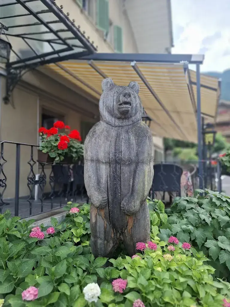M Hawk_Baeren Hotel, The Bear Inn_Wilderswil_avis