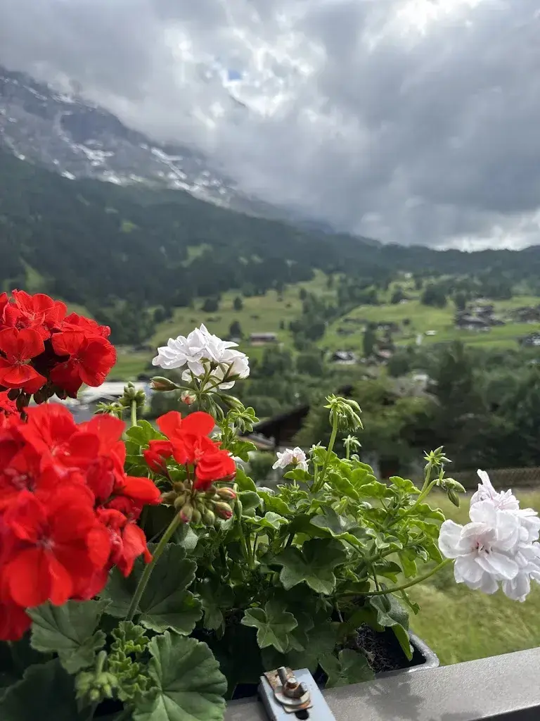 khaled ahmed_GLACIER Fine Dining_Grindelwald_review