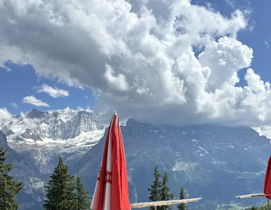 Mee Rups_Gasthaus Waldspitz_Grindelwald_avis