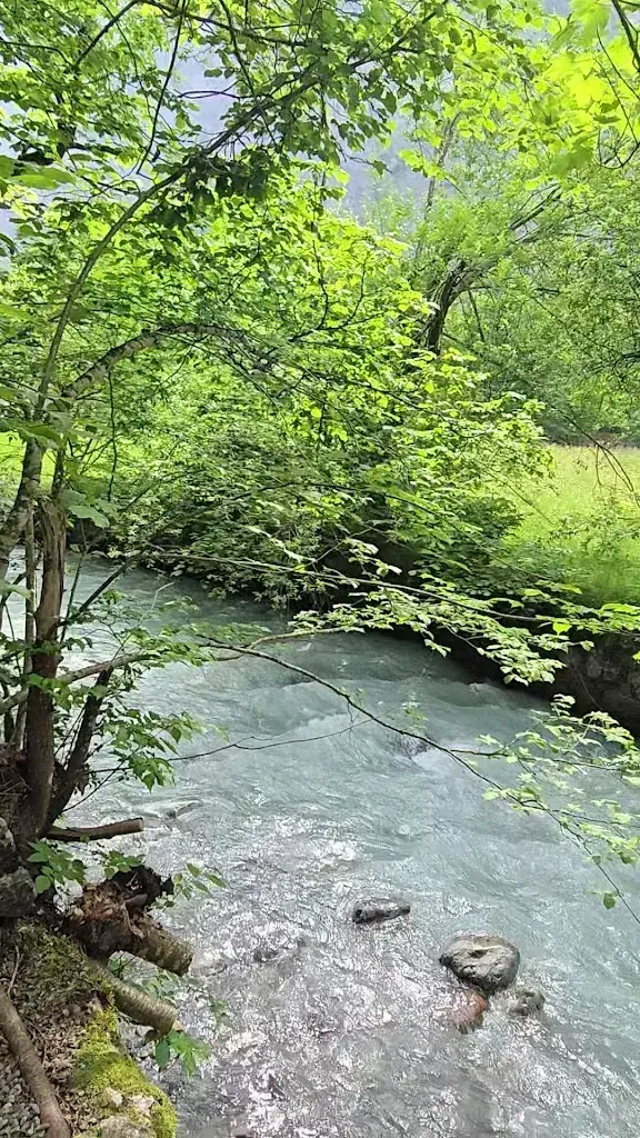 Abdelmonem Jamal_Trümmelbach Cafe_Stechelberg_review