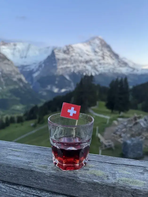 Andrei Semen_Alpinhotel Bort_Grindelwald_avis