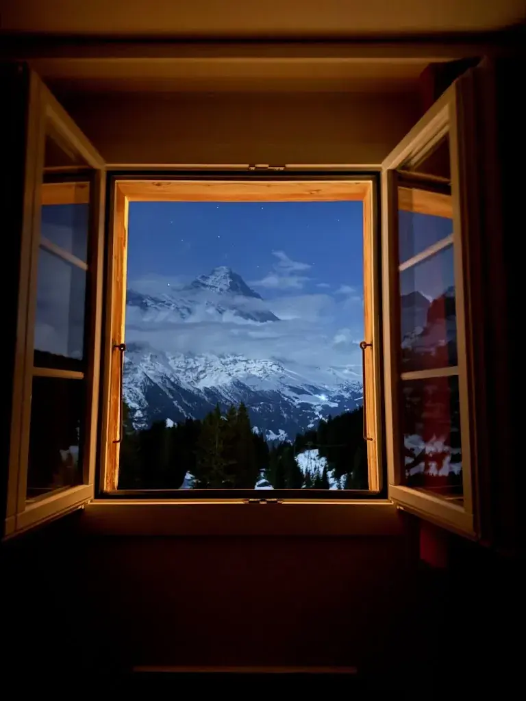 TB 2018_Alpinhotel Bort_Grindelwald_avis