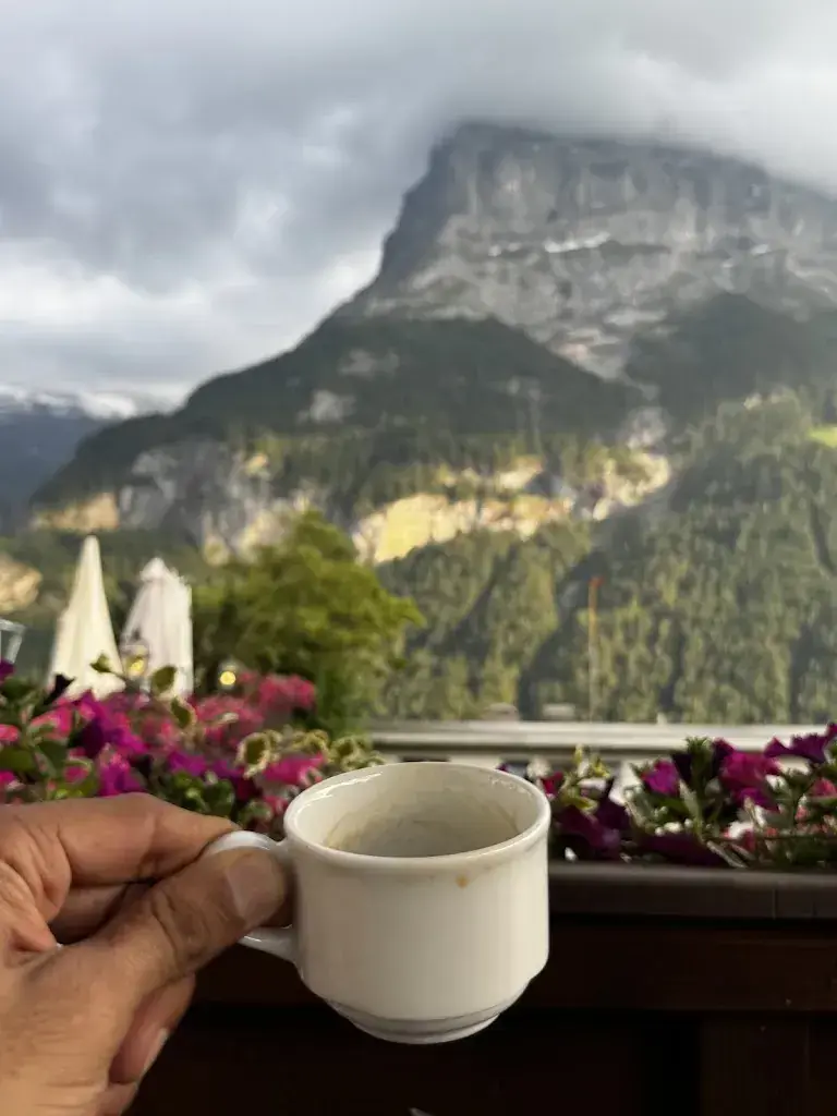 Karun Arya_Avocado Bar Grindelwald_Grindelwald_avis