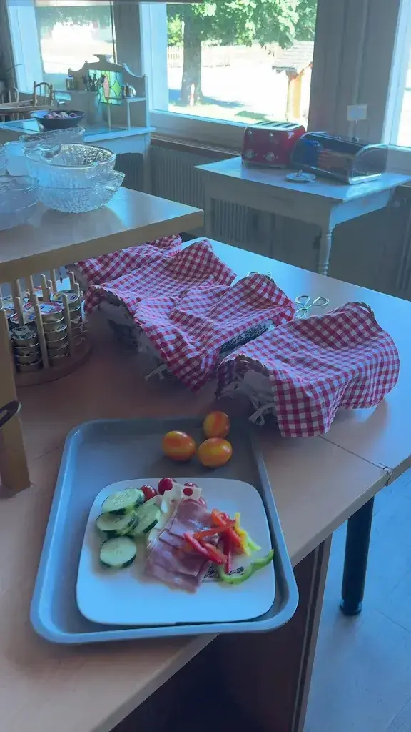 Еvgeniy Еliseev_Alpenrose Hotel and Gardens_Wilderswil_review