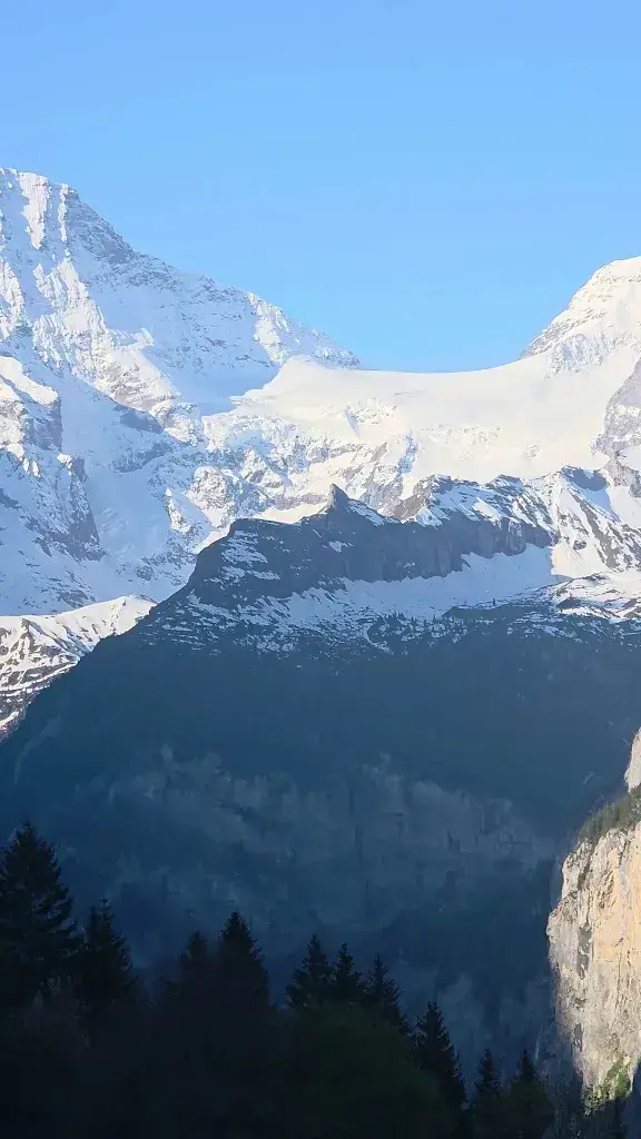 Andrew W_Hotel Alpenrose Wengen AG_Wengen BE_avis