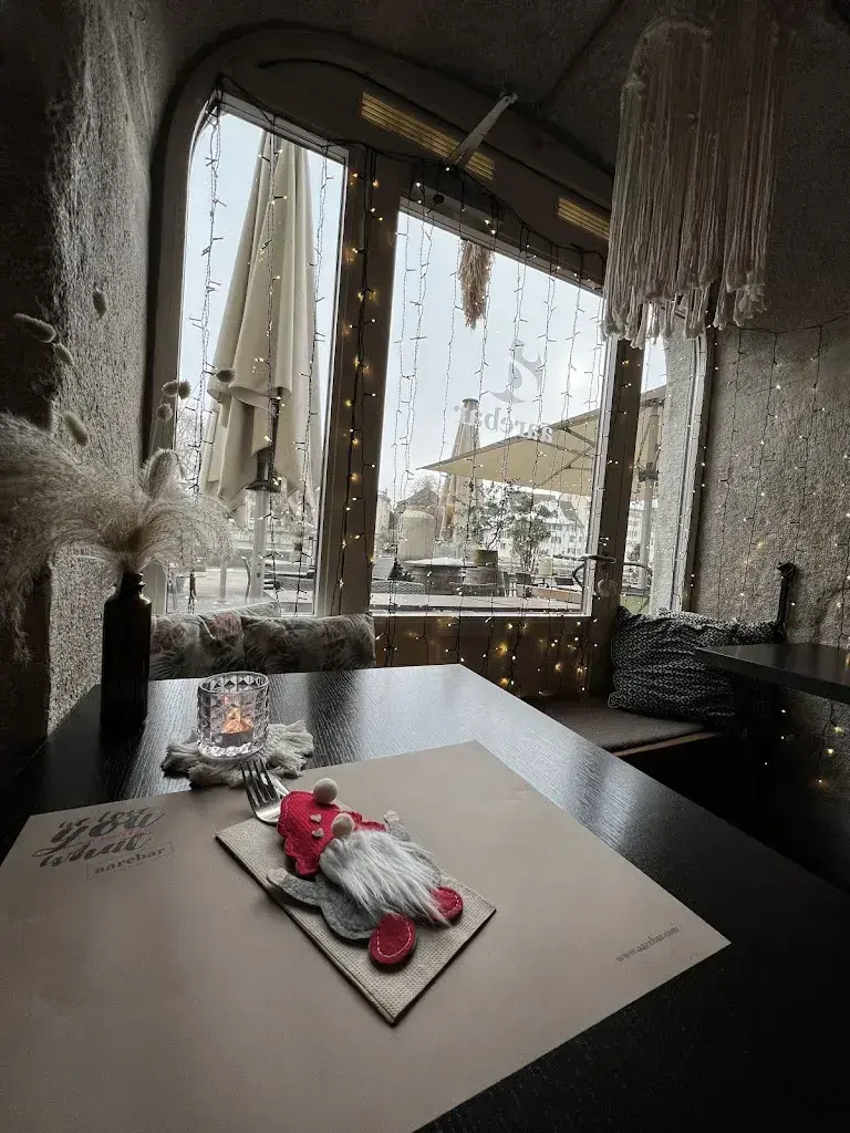 Olha Drobiazghina_Aarebar_Solothurn_review