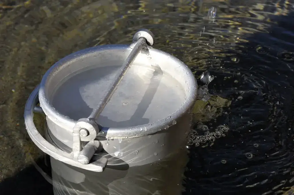 Menu_Schiltalp_Lauterbrunnen_image_7