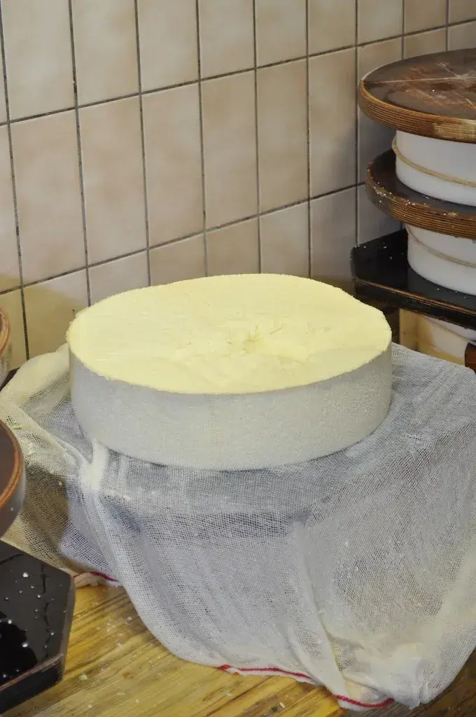 Menu_Schiltalp_Lauterbrunnen_image_8