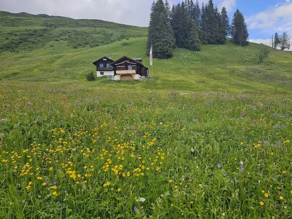 Surya Jhajhria_Schiltalp_Lauterbrunnen_review