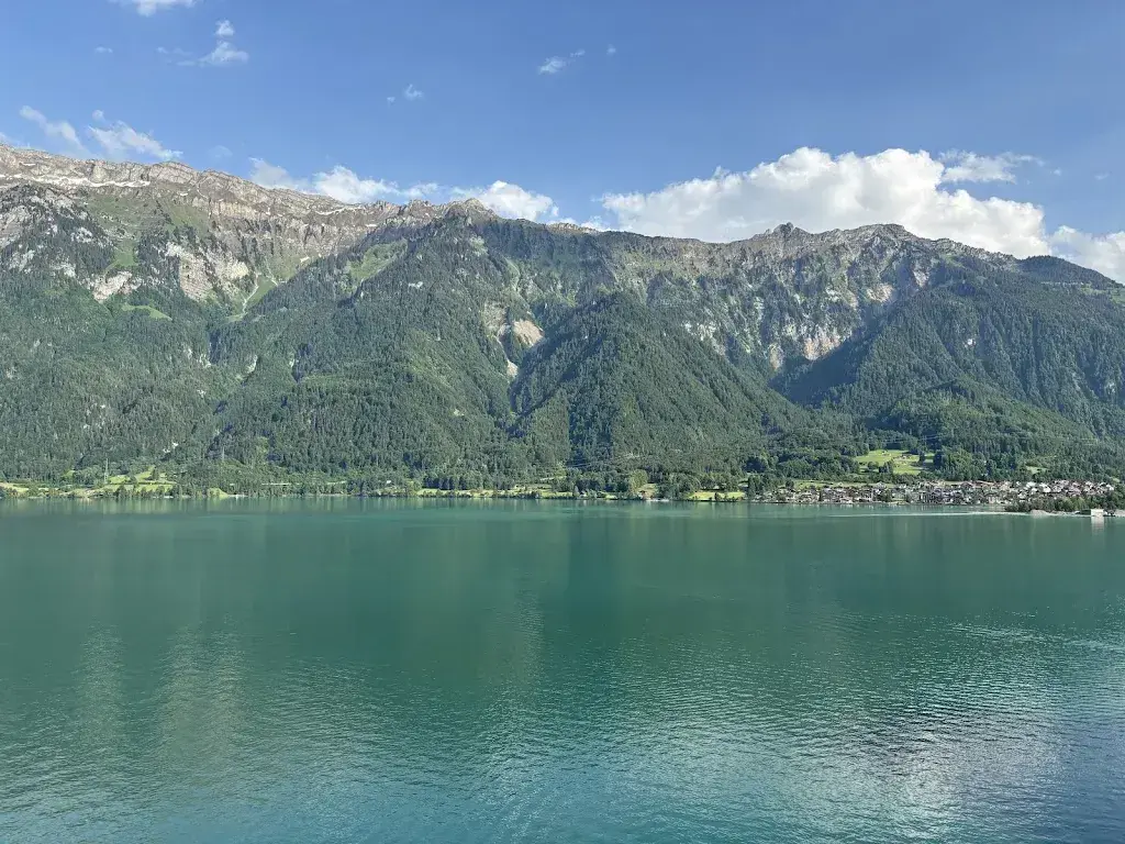 Mohammed al ani_Hotel Brienzersee_Ringgenberg_review