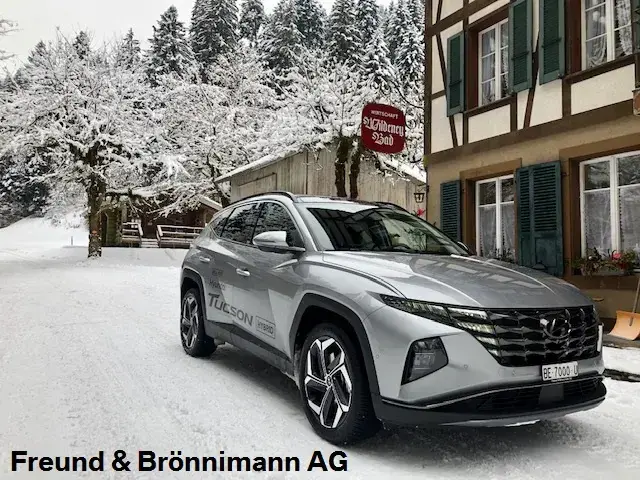 adrian leuenberger_Wildeney Bad_Oberhünigen_review