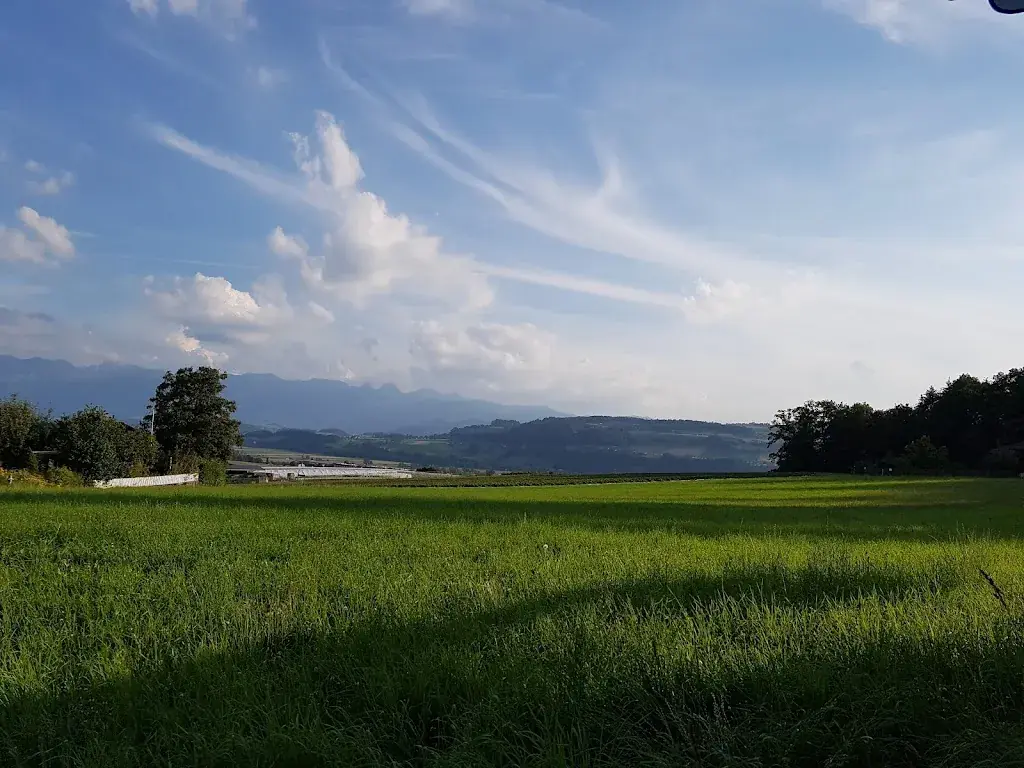 Eduard Hueter_Train-Station Restaurant_Tägertschi_review