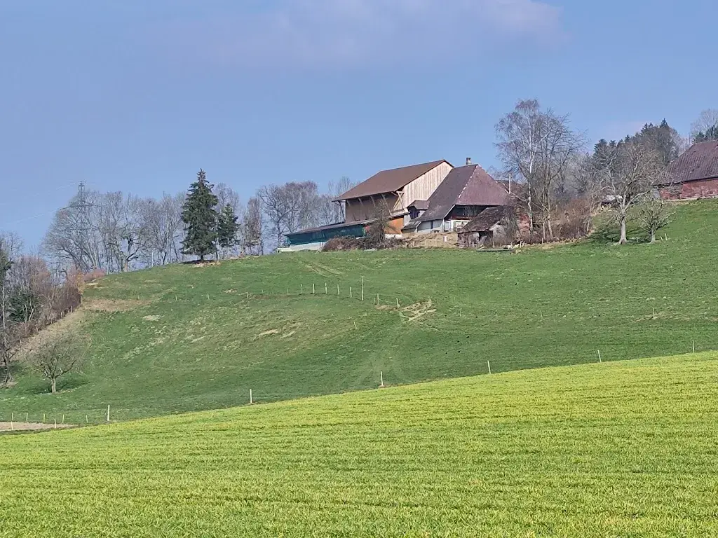 Kleindietwil restaurant à Kleindietwil