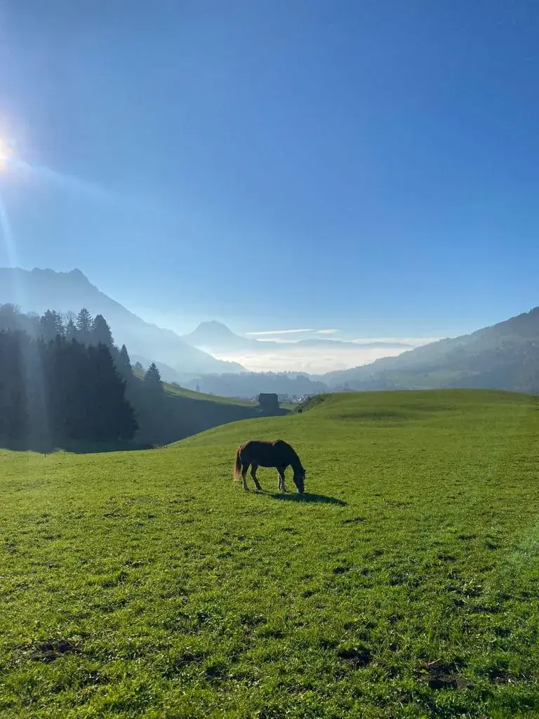 Thomas Kaupert_Le Pâtissier de l'Hôtel Cailler_Charmey_avis