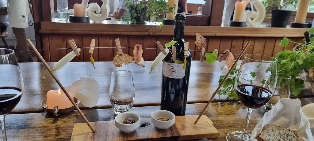 Yossi Bar_Regina Montium_Rigi Kaltbad_Bewertung