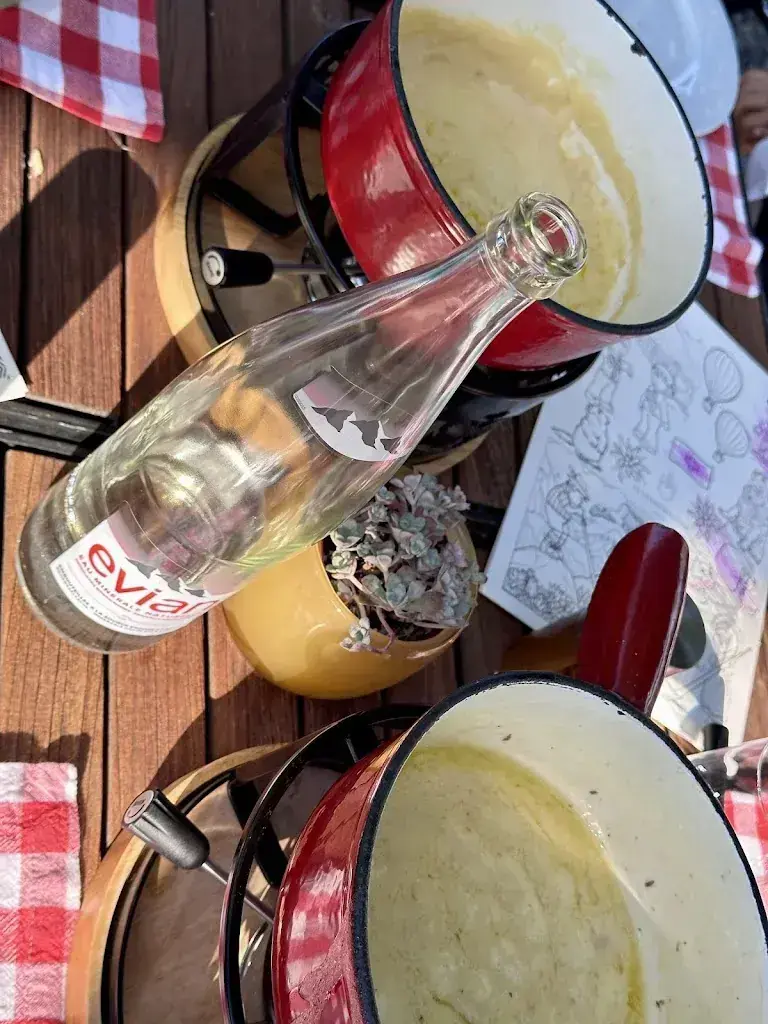 Felyn di Zeta_Le Petit Chalet_Gstaad_review