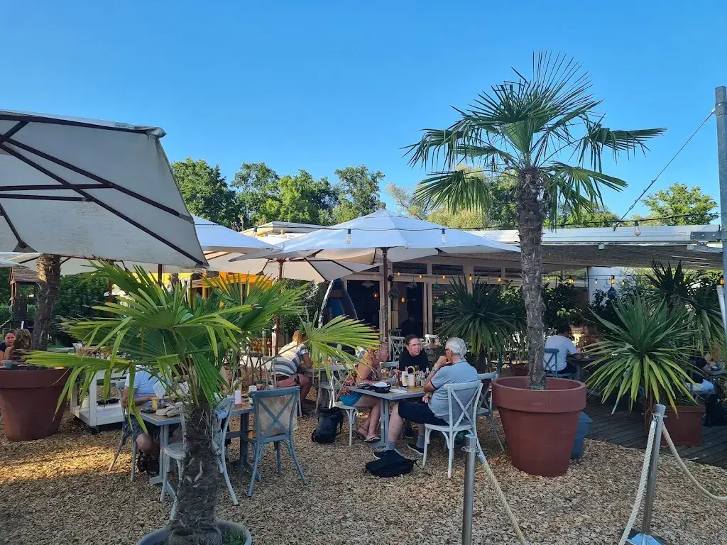 Beat A. Schwendimann_Restaurant Pier 11_Solothurn_review