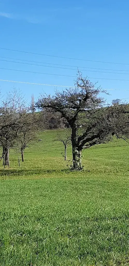 Christine Altorfer_Sämi's Skipintli_Linden_recensione