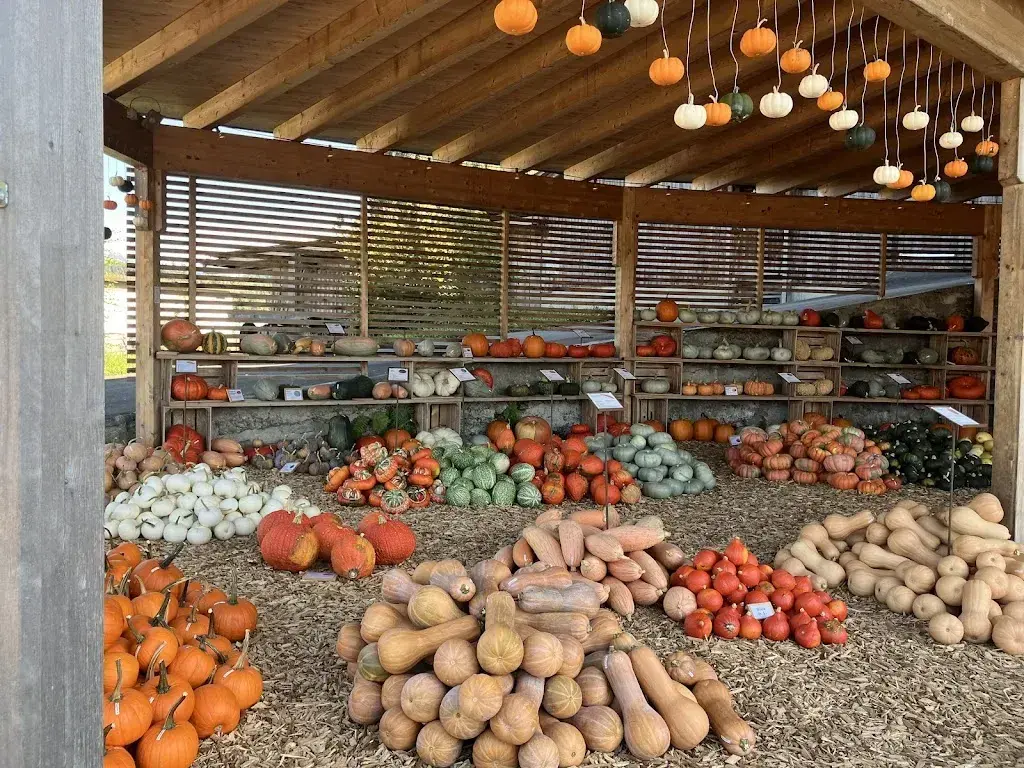 Anita Jakob_Brunnenhof Oppligen_Oppligen_avis