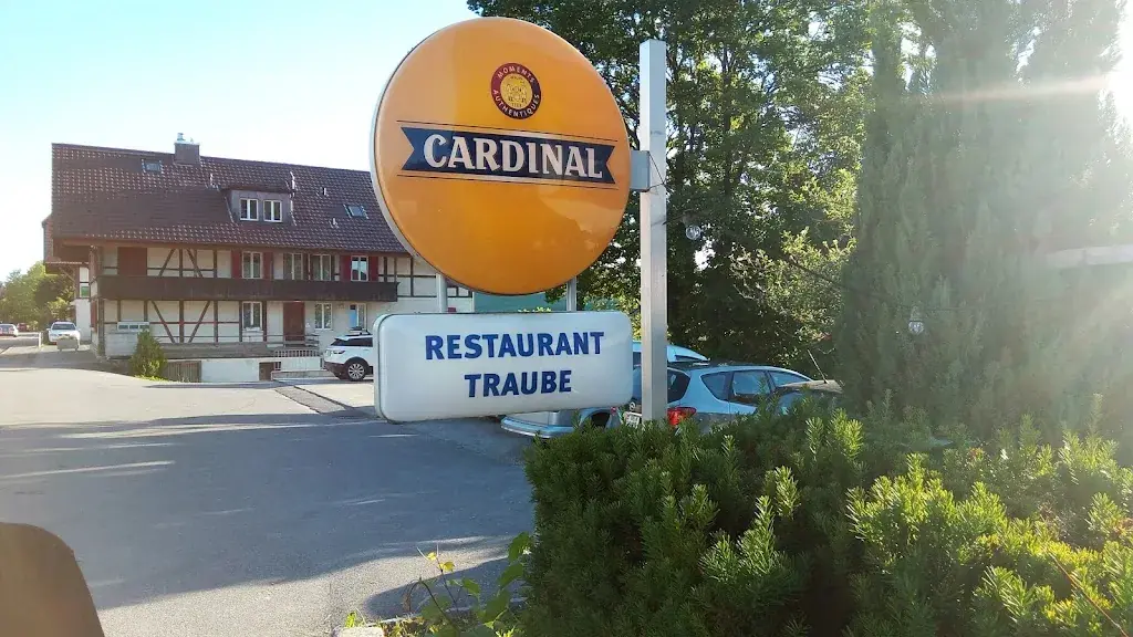 AAInventors_Restaurant Traube_Mühleberg_review