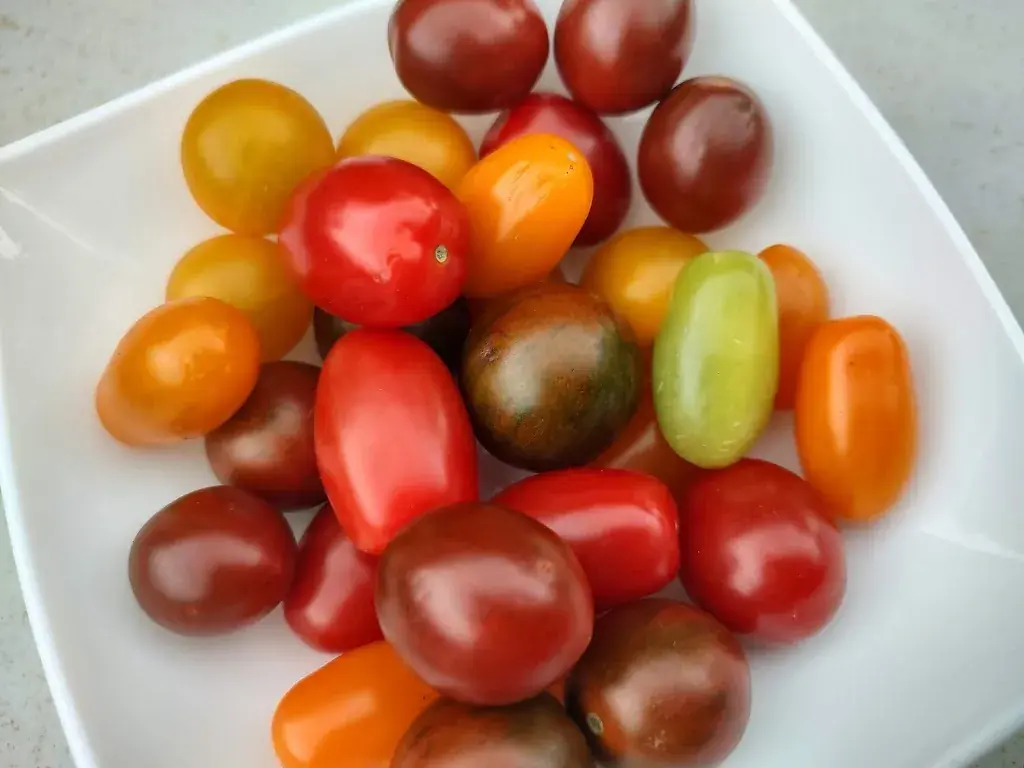 Menu_Hurni Markus_Gurbrü_image_3