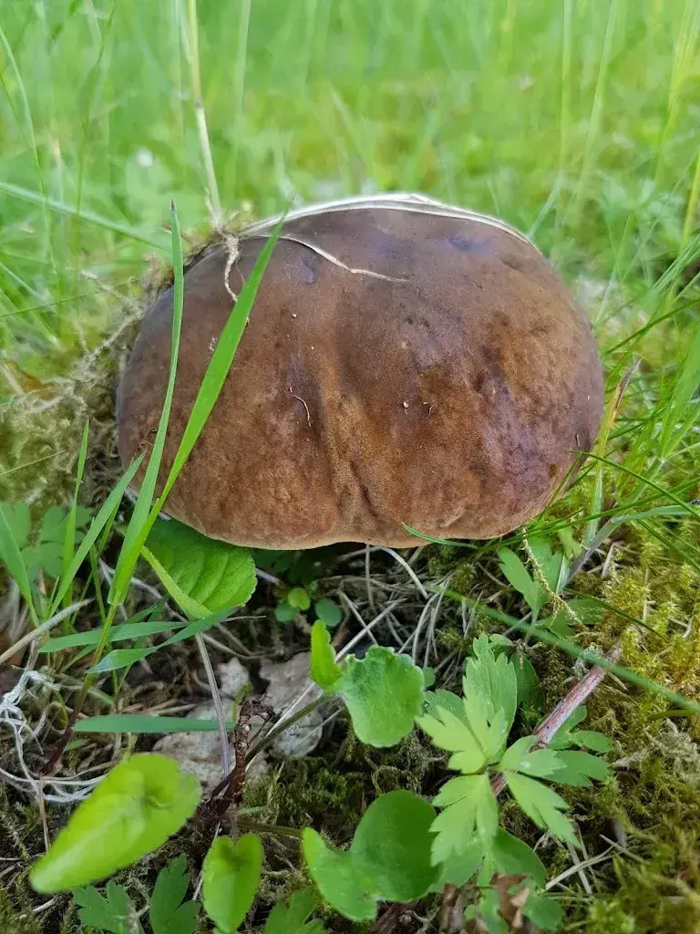 Kleindietwil_Kleindietwil_slider_image_1