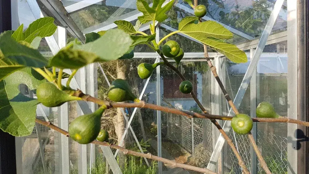 Kleindietwil_Kleindietwil_slider_image_2