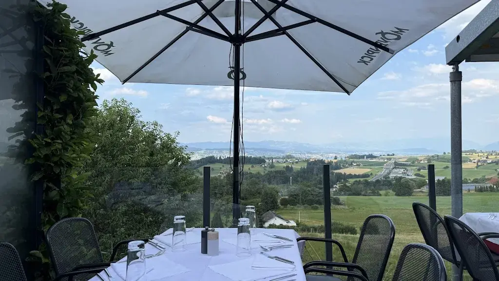 Daniela Modoran_Hanegg_Horgen_review