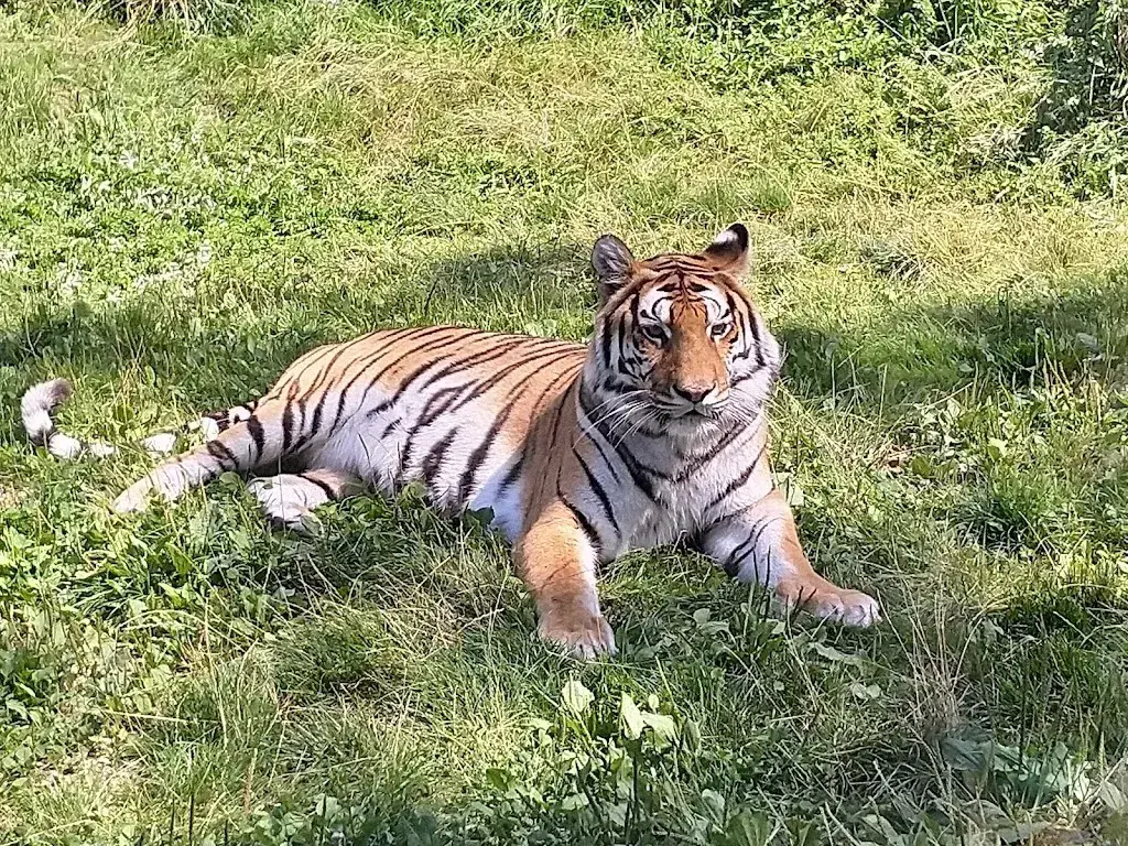 Hanspeter Kurt_Restaurant Sikypark_Crémines_avis