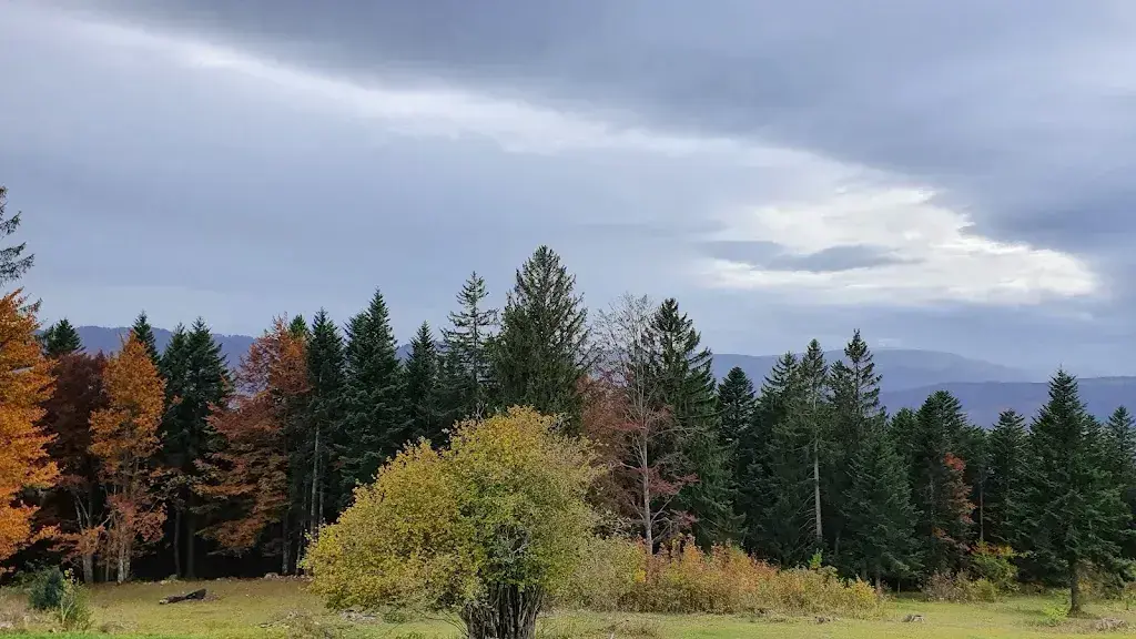 Bergerie de Loveresse_Loveresse_slider_image_3