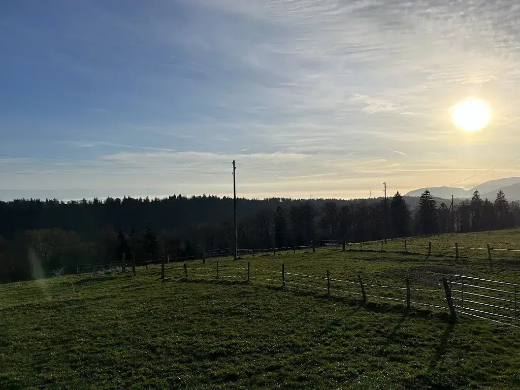 PF Dexter_Restaurant Ober-Bürenberg_Péry-La Heutte_review