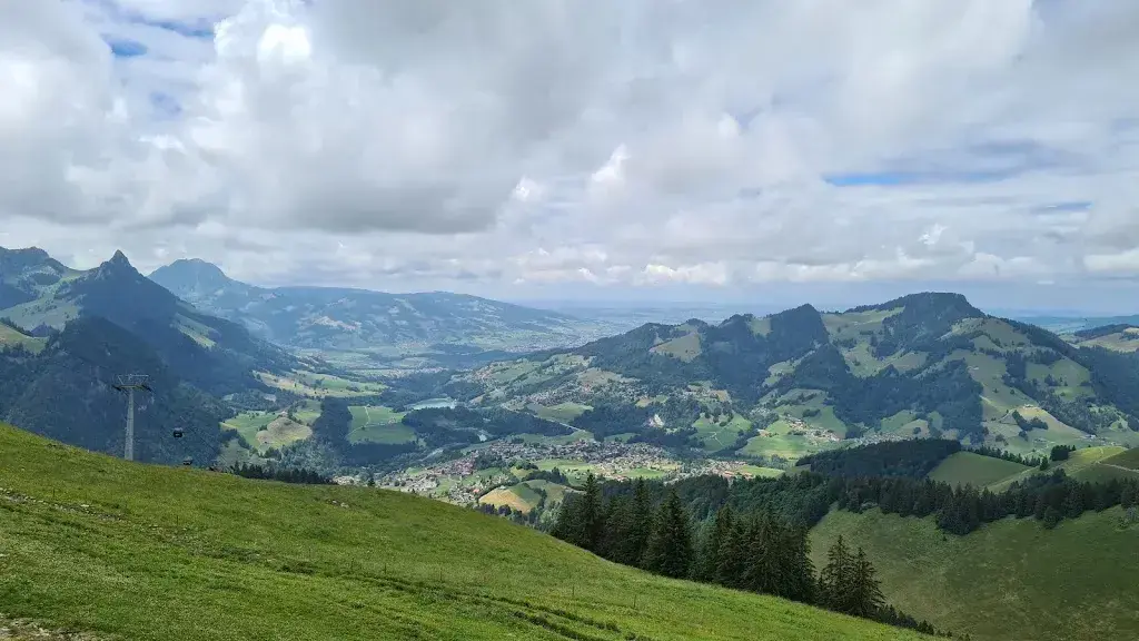 S Walker-Barras_Restaurant Les Dents-Vertes_Charmey_avis