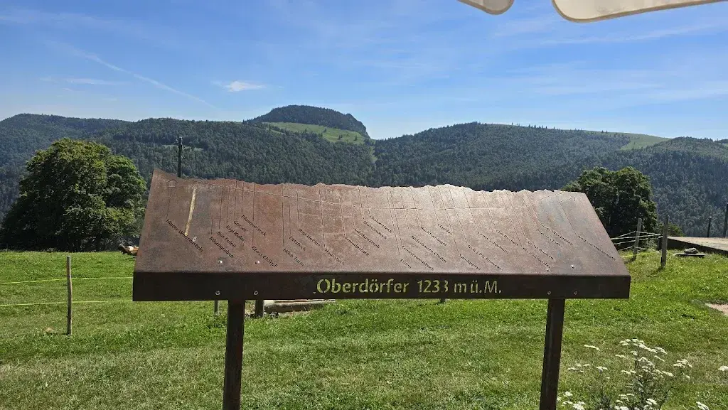 Didier Siegenthaler_Oberdörfer_Gänsbrunnen_review