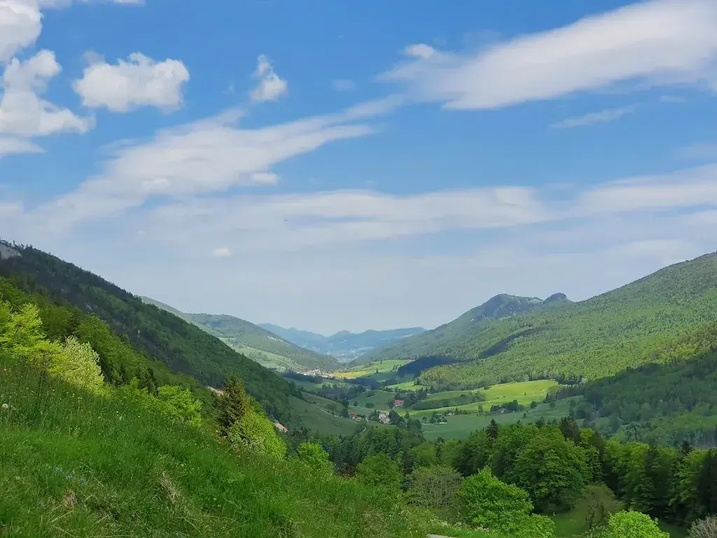 Monika Bieri_Oberdörfer_Gänsbrunnen_review