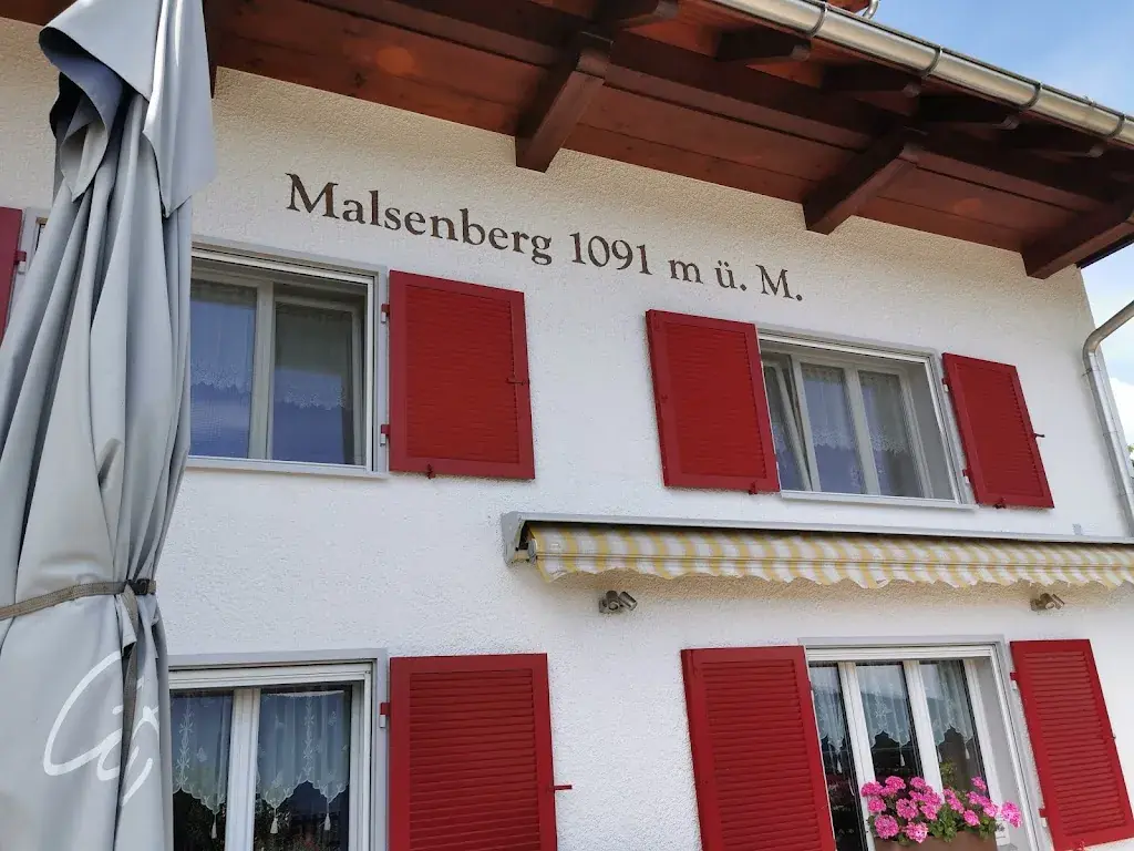 Ernst Küng_Bergwirtschaft Malsenberg_Gänsbrunnen_review