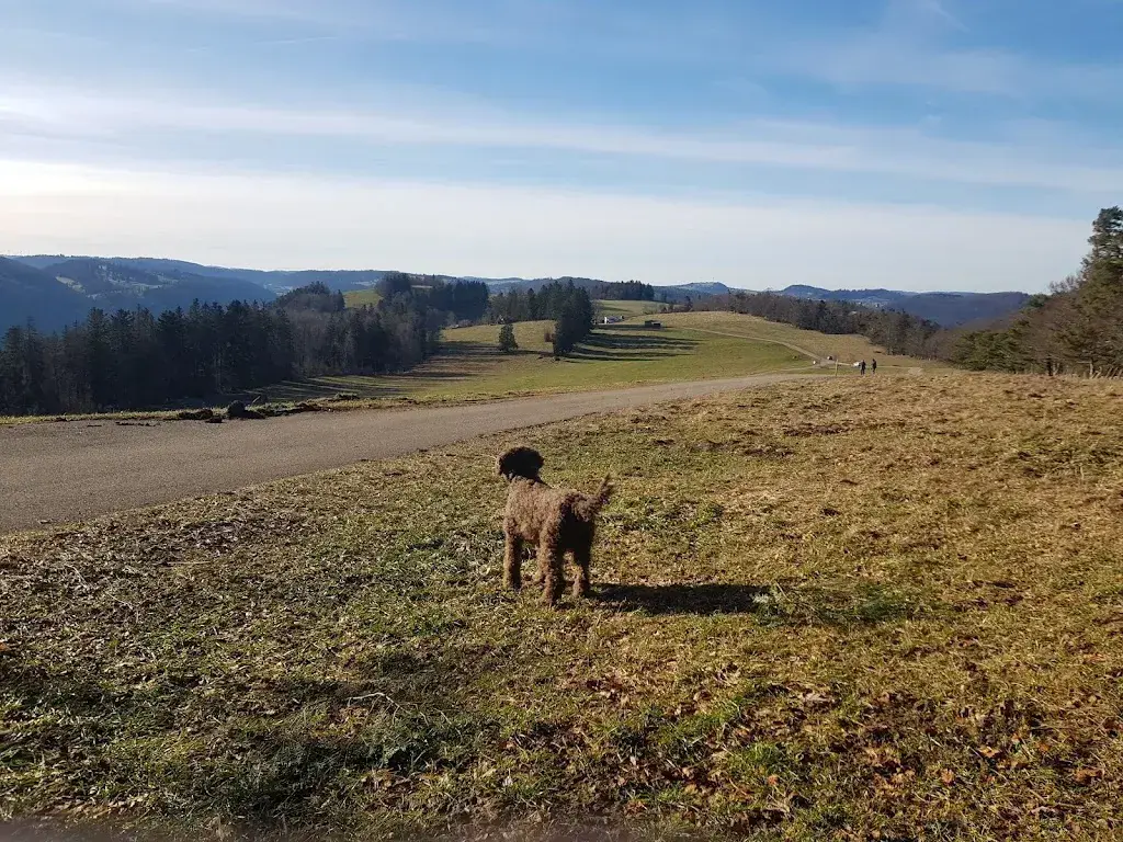 Auberge sur la côte restaurant à Les Ecorcheresses