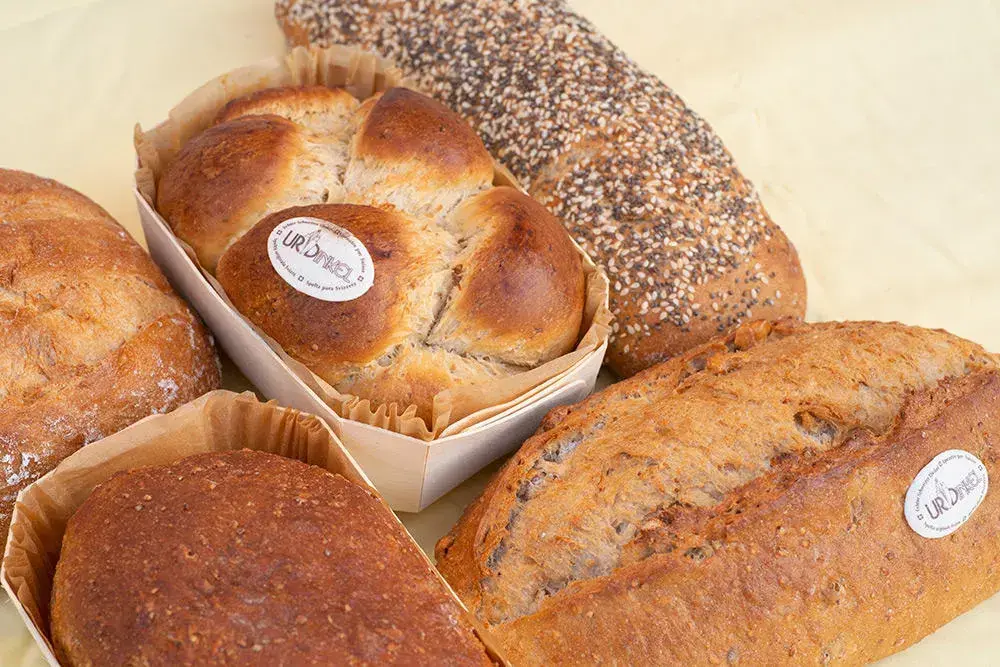 Menu_Kafi Lehmann_Täuffelen_immagine_7