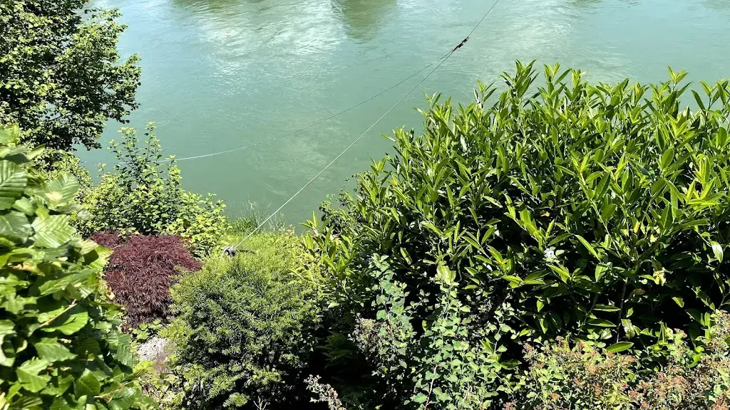 Andreas Gfeller_Restaurant Fähre_Wolfwil_Bewertung