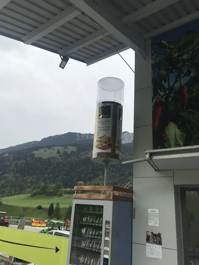 Siân Remfry_Swiss Alpine Herbs_Därstetten_review