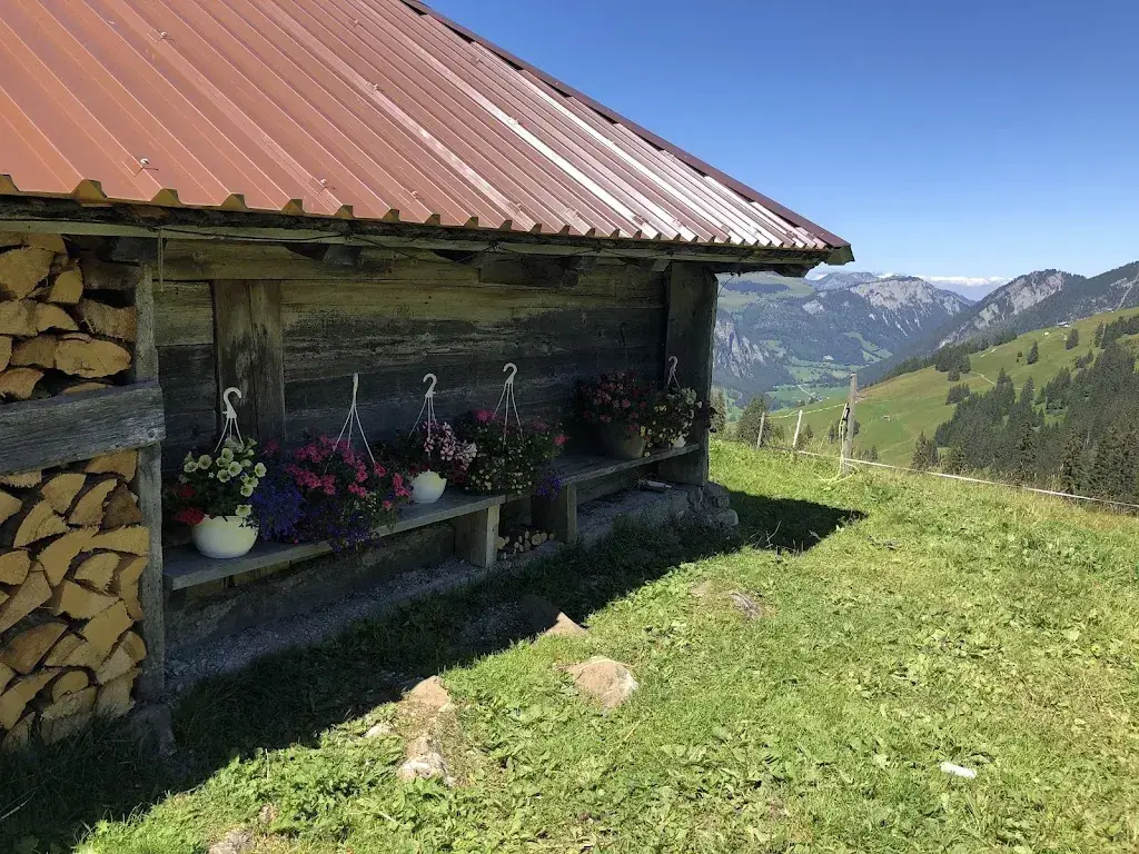 Christian Steiner_Alp Grimmi_Schwenden_avis