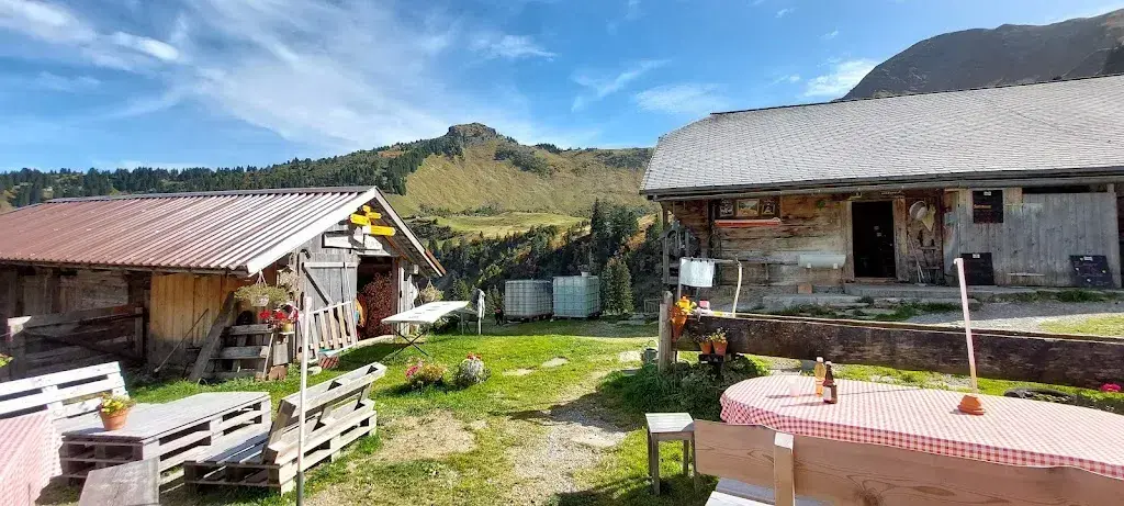 Michael Blum_Alp Grimmi_Schwenden_avis