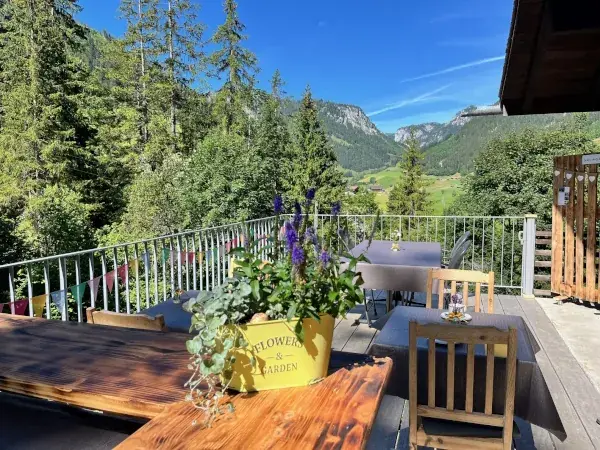 Kafi Arve_Diemtigen_slider_image_2