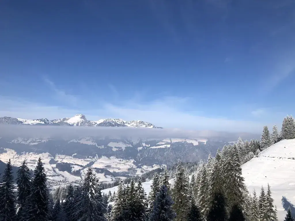 Peter Szanto_Springenboden_Diemtigen_Bewertung