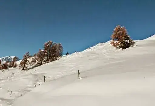 Restaurant Chessel_Oey_slider_image_3