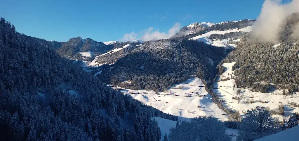 Bj Eng_Berghotel Wiriehorn Nüegg_Zwischenflüh_Bewertung