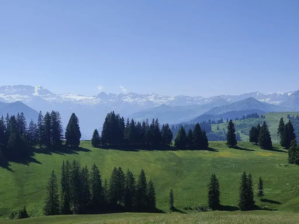 Hansruedi Reutiger_Bäderalp_Boltigen_review