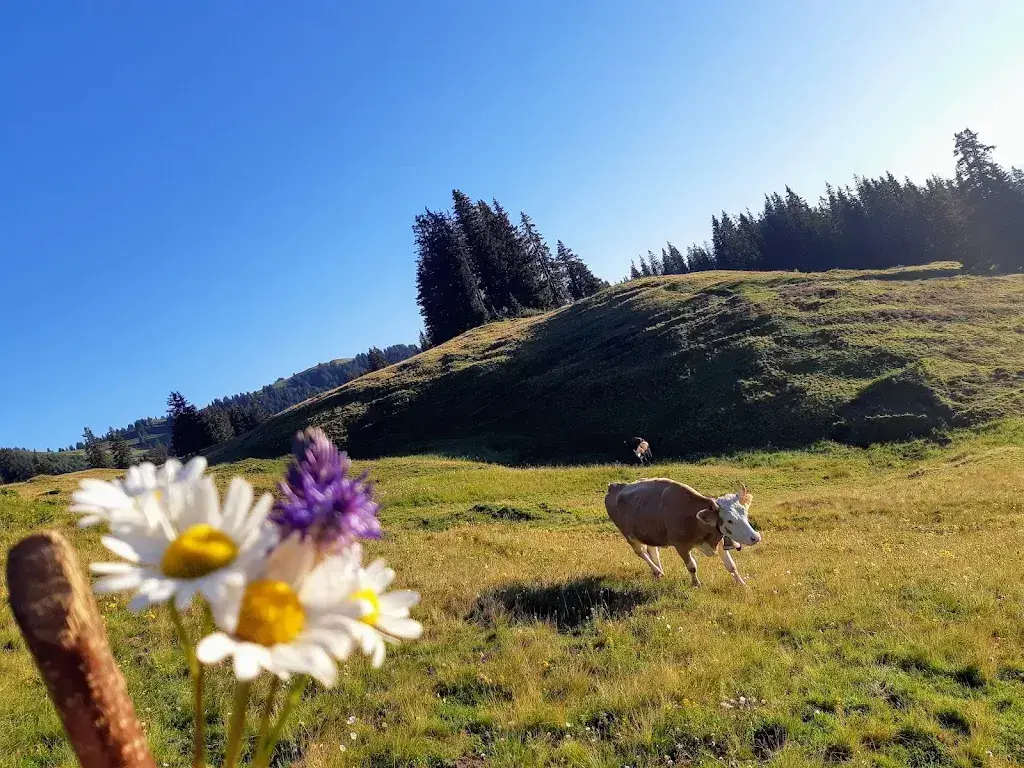 Nüjeberg_Boltigen_slider_image_3