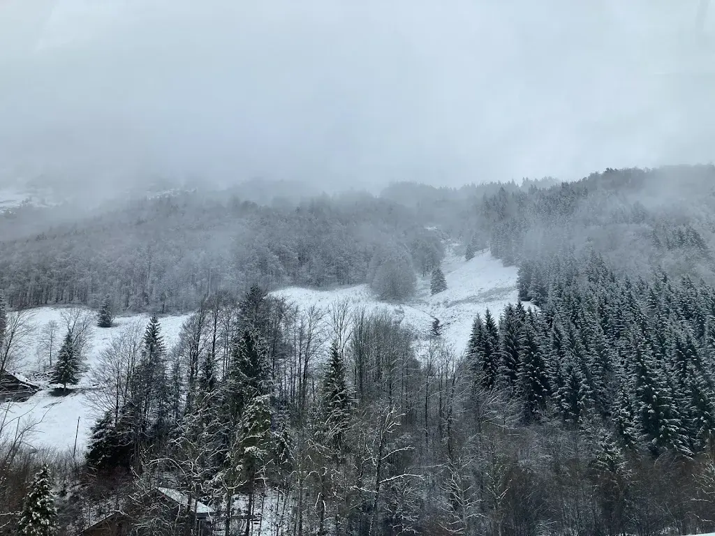 Ruedi Kaufmann_Boltigen_slider_image_2