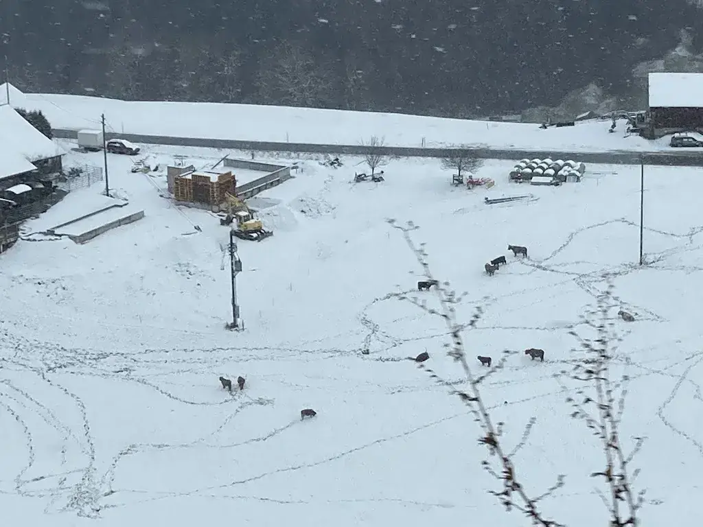 Ruedi Kaufmann_Boltigen_slider_image_3